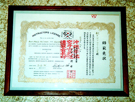 Odo Kyoshi License